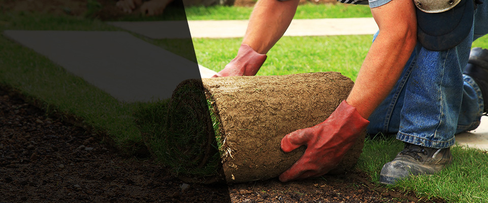 Kingsburg Landscapers